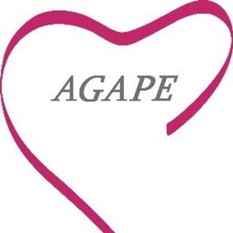 https://www.mncjobz.com/company/agape-network