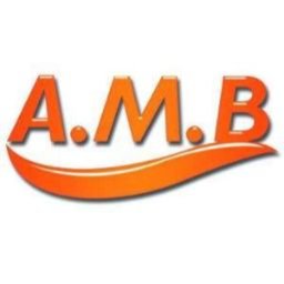 https://www.mncjobz.com/company/amb