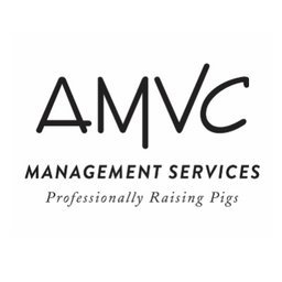 https://www.mncjobz.com/company/amvc