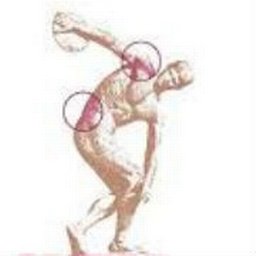 https://www.mncjobz.com/company/arthritis-northwest-pllc