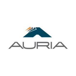 https://www.mncjobz.com/company/auria-solutions