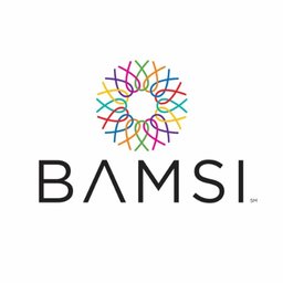 https://www.mncjobz.com/company/bamsi-inc