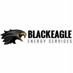 https://www.mncjobz.com/company/blackeagle-energy-services