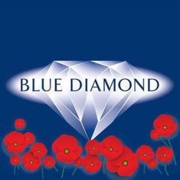 https://www.mncjobz.com/company/blue-diamond