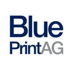 https://www.mncjobz.com/company/blueprint