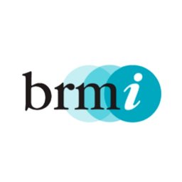 https://www.mncjobz.com/company/brmi