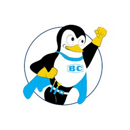 https://www.mncjobz.com/company/bruni-campisi
