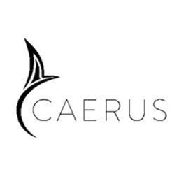https://www.mncjobz.com/company/caerus-corp