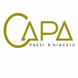 https://www.mncjobz.com/company/capa