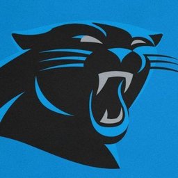 https://www.mncjobz.com/company/carolina-panthers