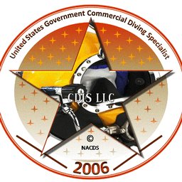 https://www.mncjobz.com/company/cdis-group-llc