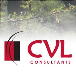https://www.mncjobz.com/company/cvl-consultants