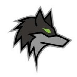 https://www.mncjobz.com/company/dark-wolf-solutions