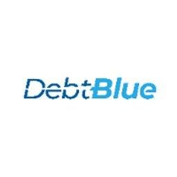 https://www.mncjobz.com/company/debtblue