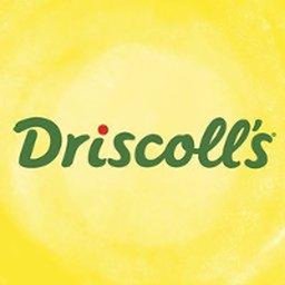https://www.mncjobz.com/company/driscolls