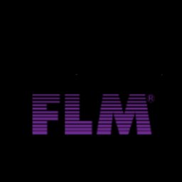 https://www.mncjobz.com/company/flm