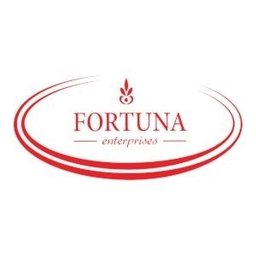 https://www.mncjobz.com/company/fortuna-enterprises-llc