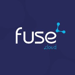 https://www.mncjobz.com/company/fuse-cloud