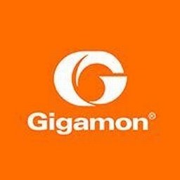 https://www.mncjobz.com/company/gigamon