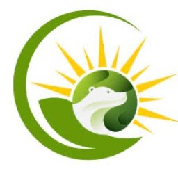 https://www.mncjobz.com/company/green-bear-solutions