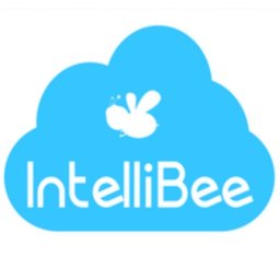 https://www.mncjobz.com/company/intellibee-inc
