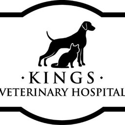 https://www.mncjobz.com/company/kings-veterinary-hospital