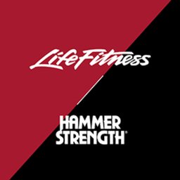 https://www.mncjobz.com/company/life-fitness-hammer-strength