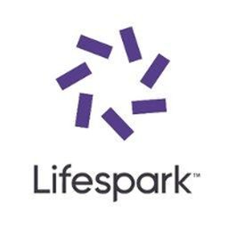 https://www.mncjobz.com/company/lifespark
