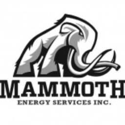 https://www.mncjobz.com/company/mammoth-energy-services