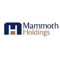 https://www.mncjobz.com/company/mammoth-holdings