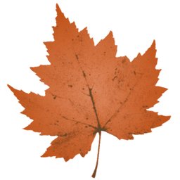 https://www.mncjobz.com/company/maple-lake-academy