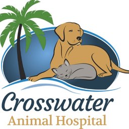 https://www.mncjobz.com/company/mesa-veterinary-hospital