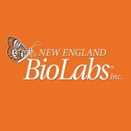 https://www.mncjobz.com/company/new-england-biolabs