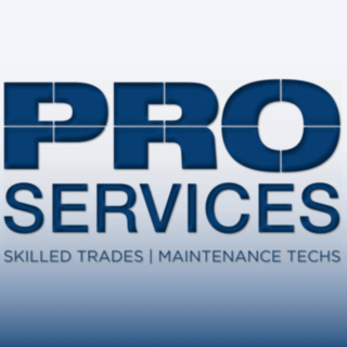 https://www.mncjobz.com/company/pro-services