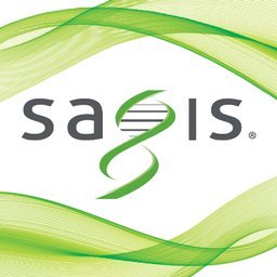 https://www.mncjobz.com/company/sagis-pllc
