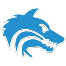 https://www.mncjobz.com/company/scholars-academy