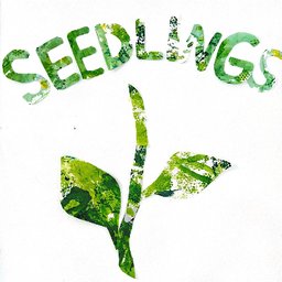 https://www.mncjobz.com/company/seedlings-playschool