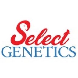 https://www.mncjobz.com/company/select-genetics