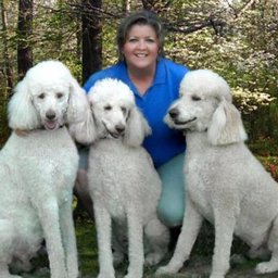 https://www.mncjobz.com/company/southern-paws-pet-sitting