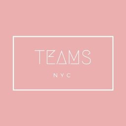 https://www.mncjobz.com/company/teams-nyc