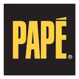 https://www.mncjobz.com/company/the-pape-group-inc