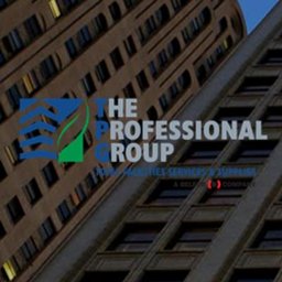 https://www.mncjobz.com/company/the-professional-group