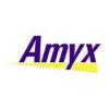 https://www.mncjobz.com/company/amyx