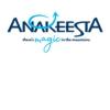 https://www.mncjobz.com/company/anakeesta