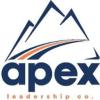 https://www.mncjobz.com/company/apex-leadership-co