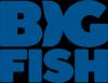 https://www.mncjobz.com/company/big-fish-games