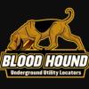 https://www.mncjobz.com/company/blood-hound