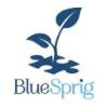 https://www.mncjobz.com/company/bluesprig