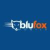 https://www.mncjobz.com/company/blufox-mobile