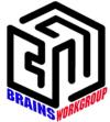 https://www.mncjobz.com/company/brains-workgroup
